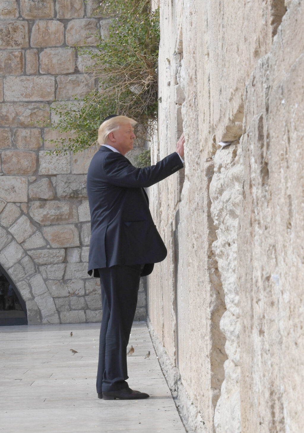 President_Trump_visit_to_Israel,_May_2017_DSC_3630ODS_(34829148435)